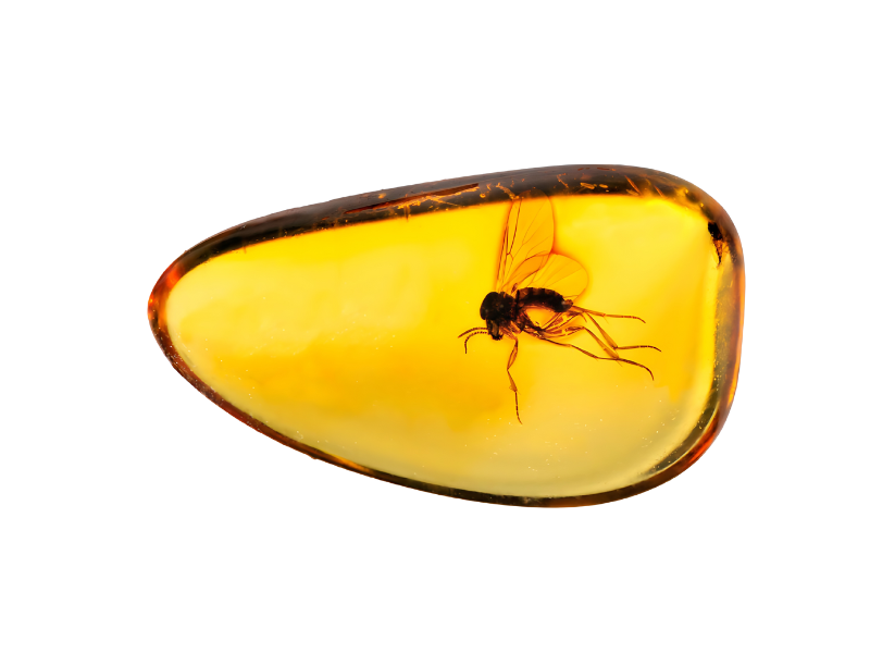 سنگ کهربا برج اسد