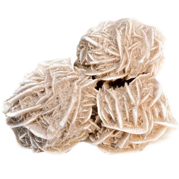 photo 2025 05 08 21 42 35 1